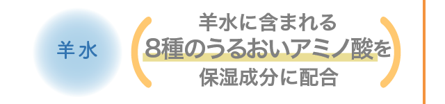 羊水 羊水に含まれる8種のうるおいアミノ酸を保湿成分に配合