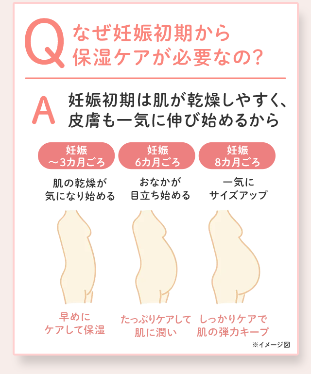 Q なぜ妊娠初期から保湿ケアが必要なの？／A 妊娠初期は肌が乾燥しやすく、皮膚も一気に伸び始めるから／妊娠～3カ月ごろ 肌の乾燥が気になり始める 早めにケアして保湿／妊娠6カ月ごろ おなかが目立ち始める たっぷりケアして肌に潤い／妊娠8カ月ごろ 一気にサイズアップ しっかりケアで肌の弾力キープ／※イメージ図