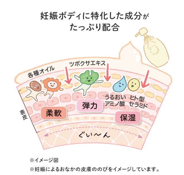 妊娠ボディに特化した成分がたっぷり配合／※イメージ図 ※妊娠によるおなかの皮膚ののびをイメージしています。