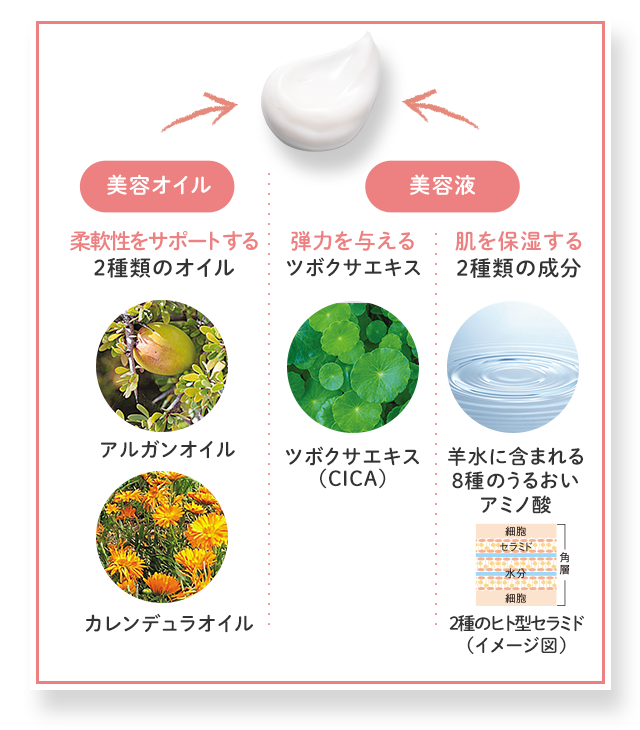 美容オイル：柔軟性をサポートする2種類のオイル アルガンオイル カレンデュラオイル／美容液：弾力を与えるツボクサエキス ツボクサエキス（CICA） 肌を保湿する2種類の成分 羊水に含まれる8種のうるおいアミノ酸 2種のヒト型セラミド（イメージ図）