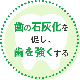 歯の石灰化を促し、歯を強くする