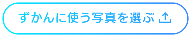 ずかんに使う写真を選ぶ