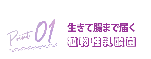 生きて腸まで届く植物性乳酸菌
