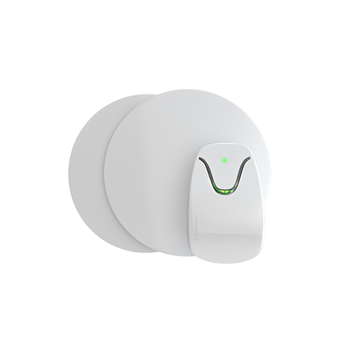 画像 ベビーセンスジャパン