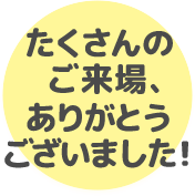 画像　赤ちゃんスーパーはいはい競走