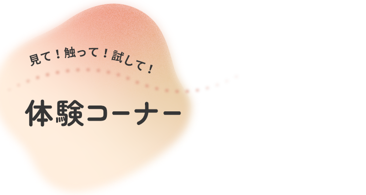 見て！触って！試して！体験コーナー