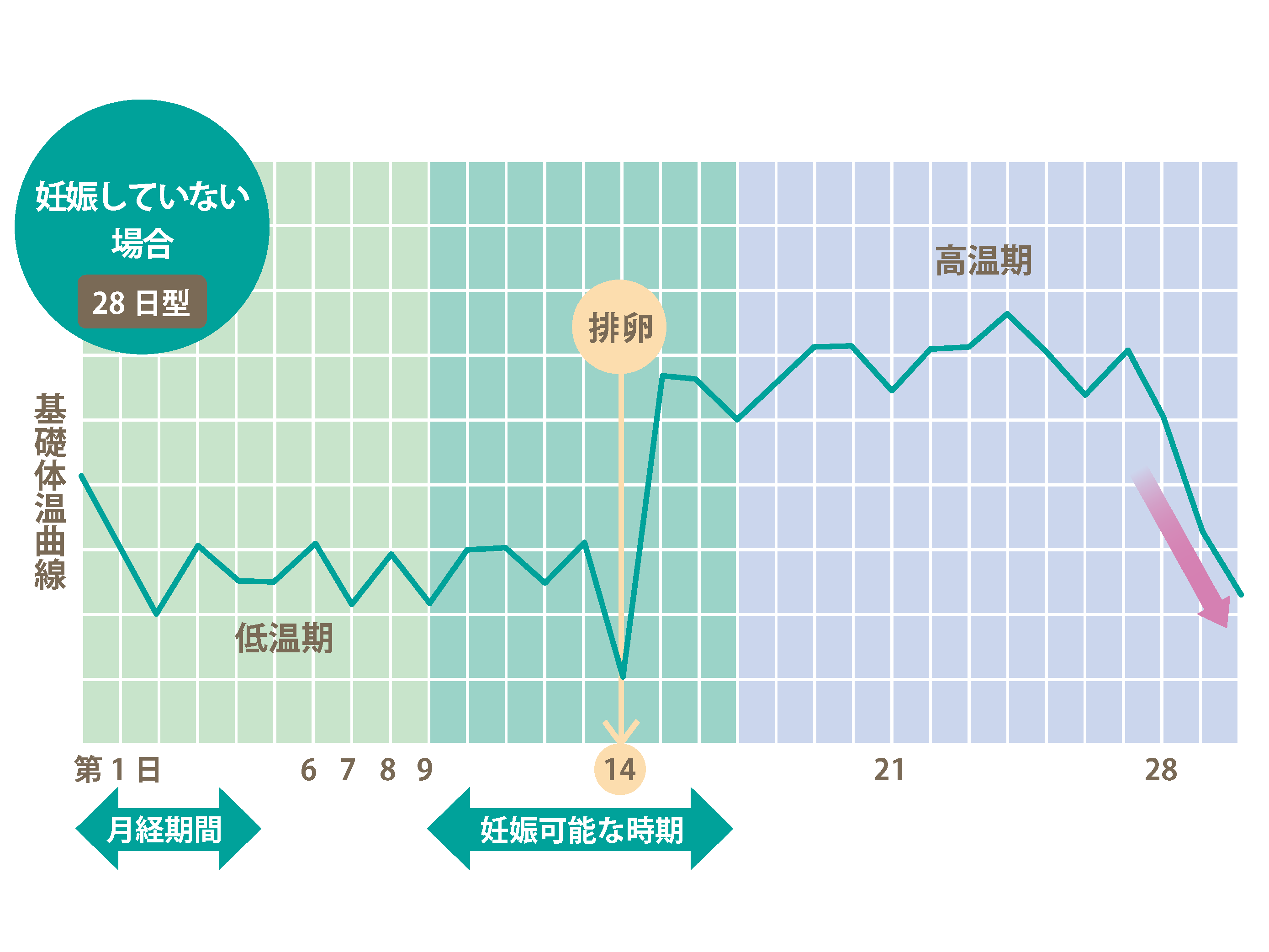 妊娠超初期症状、生理の遅れは妊娠かも?! 体の変化や9つのサインとママ体験談【医師監修】- たまひよ