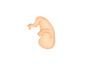 妊娠9週 たまひよ 医師監修 妊婦の症状や体の変化 赤ちゃんの成長